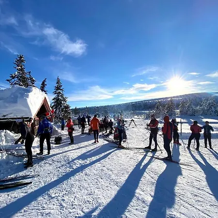 Lys Og Moderne Rett Ved Skiloypa Pa - Kort Vei Til Sjusjoen, Lillehammer Og Hafjell - Dyr Ikke Tillatt Appartement Nordseter