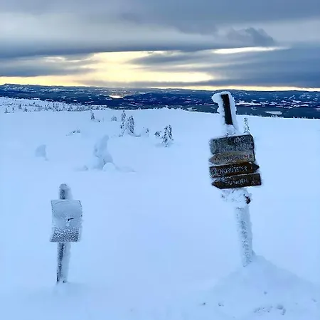 Lys Og Moderne Rett Ved Skiloypa Pa - Kort Vei Til Sjusjoen, Lillehammer Og Hafjell - Dyr Ikke Tillatt Nordseter