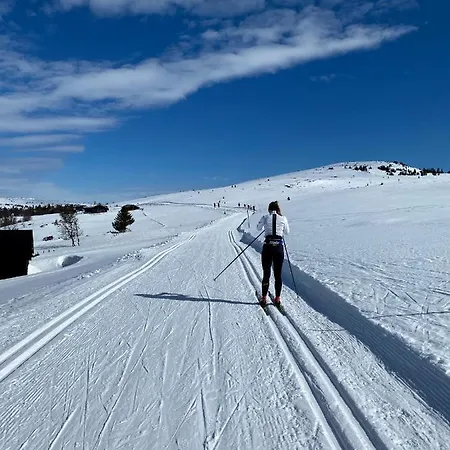 Appartement Lys Og Moderne Rett Ved Skiloypa Pa - Kort Vei Til Sjusjoen, Lillehammer Og Hafjell - Dyr Ikke Tillatt *