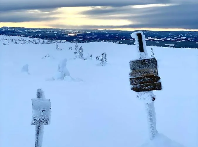 Lys Og Moderne Rett Ved Skiloypa Pa - Kort Vei Til Sjusjoen, Lillehammer Og Hafjell - Dyr Ikke Tillatt Nordseter