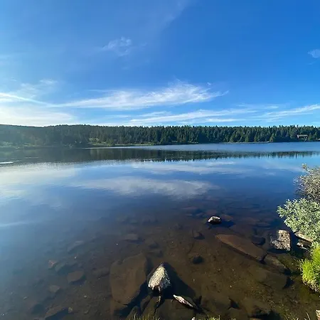 Lodge: Modern With Scenic Trail Access